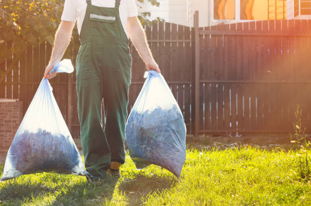 Best Yard Cleanup Services  in Hebbronville, TX